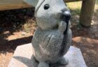 違うんです、西連寺さん