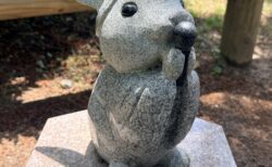 私にとってのオシャレ